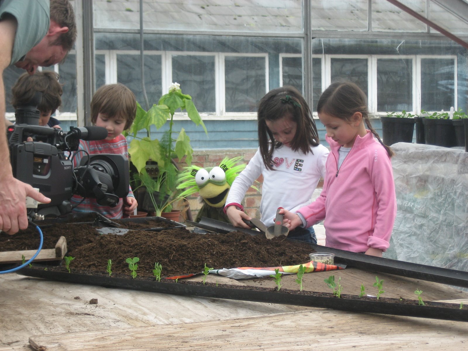 kids planting garden