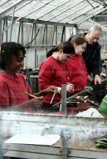 Greenhouse Work